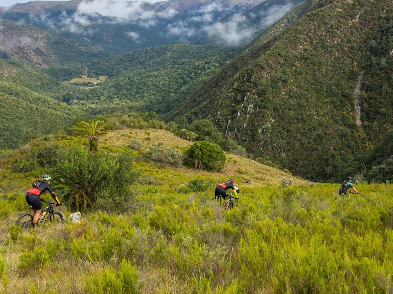 Africamps Addo Villa Swanepoelskraal Buitenkant foto